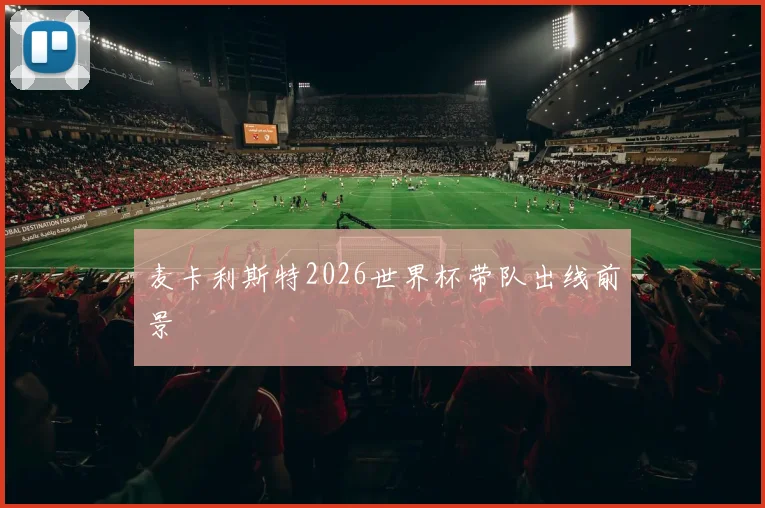 麦卡利斯特2026世界杯带队出线前景