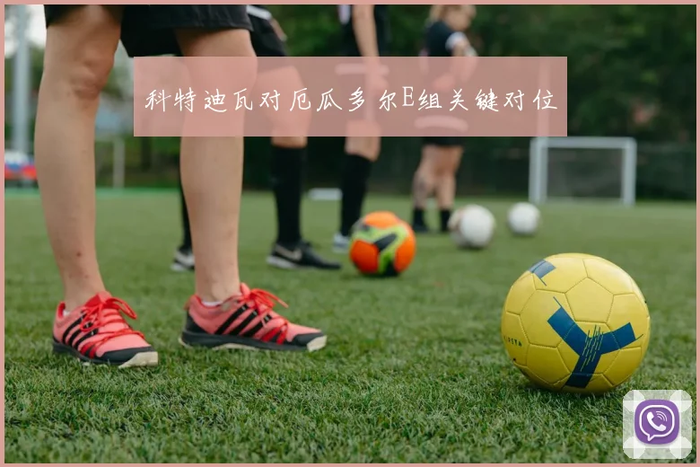 科特迪瓦对厄瓜多尔E组关键对位