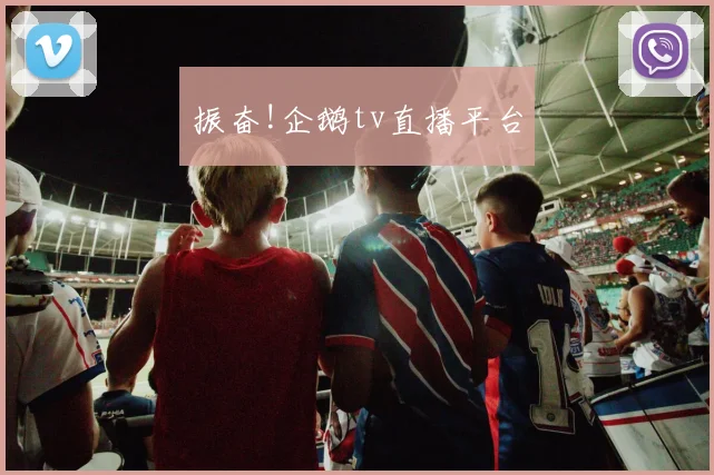 振奋!企鹅tv直播平台