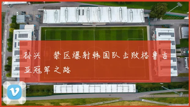 孙兴慜禁区爆射韩国队击败格鲁吉亚冠军之路