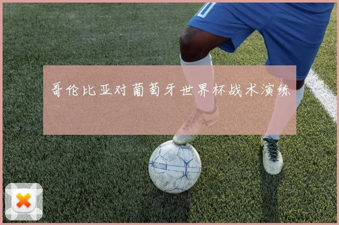哥伦比亚对葡萄牙世界杯战术演练
