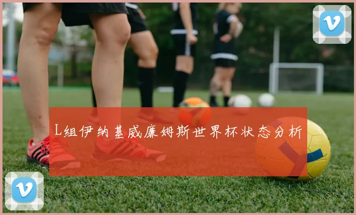 L组伊纳基威廉姆斯世界杯状态分析
