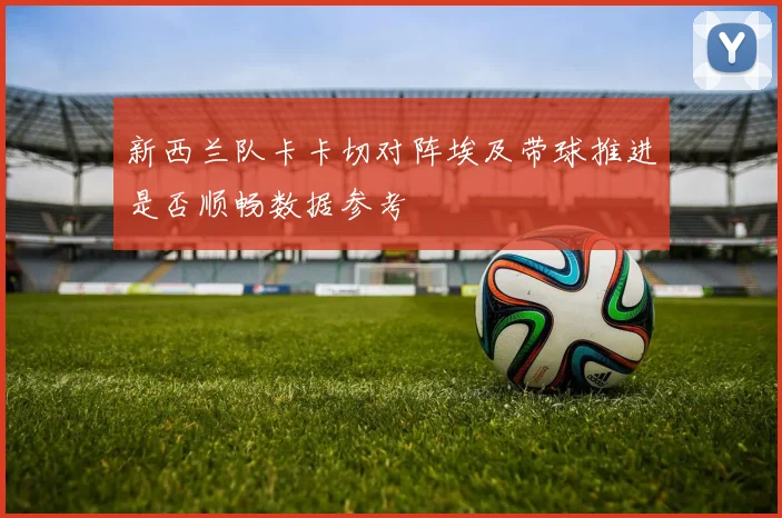 新西兰队卡卡切对阵埃及带球推进是否顺畅数据参考