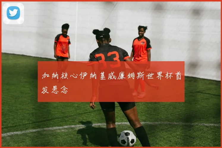 加纳核心伊纳基威廉姆斯世界杯首发悬念
